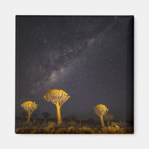 Vintergatan Quiver Tree   Keetmanshoop Namibia Magnet
