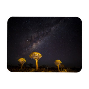 Vintergatan Quiver Tree   Keetmanshoop Namibia Magnet