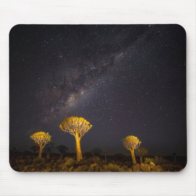Vintergatan Quiver Tree | Keetmanshoop Namibia Musmatta (Framsidan)