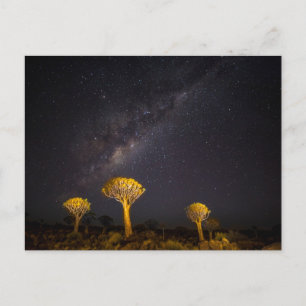 Vintergatan Quiver Tree Keetmanshoop Namibia Vykort