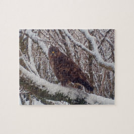 Vinterglentan sittande på frostig gren skogsmark pussel