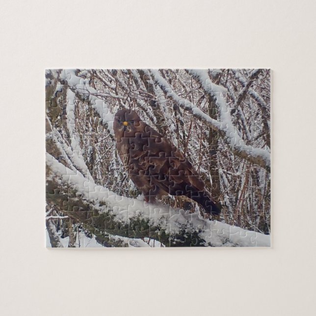 Vinterglentan sittande på frostig gren skogsmark pussel (Horisontell)