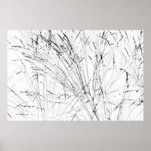 Vintergräs i Snö Poster