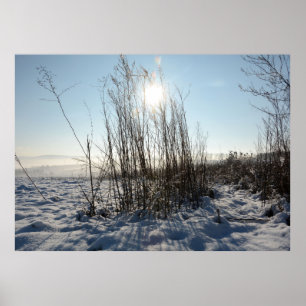 Vintergräs - poster