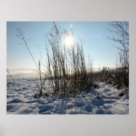 Vintergräs - poster