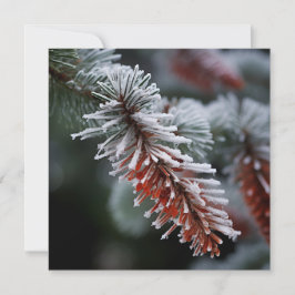 Vintergrön frasegran julhälsningskort julkort