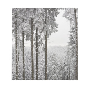Vintergrön skog i vinter anteckningsblock