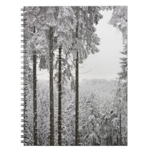 Vintergrön skog i vinter anteckningsbok med spiral