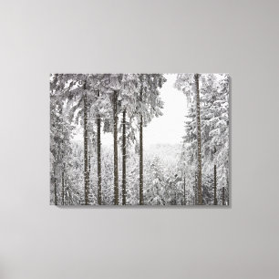 Vintergrön skog i vinter canvastryck
