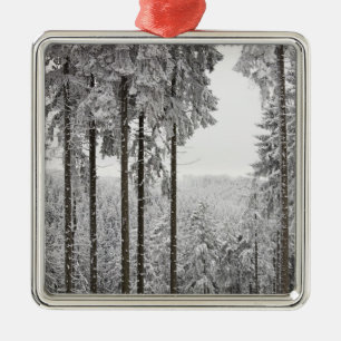 Vintergrön skog i vinter julgransprydnad metall