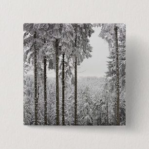 Vintergrön skog i vinter knapp