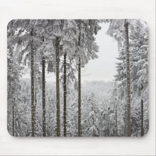 Vintergrön skog i vinter musmatta