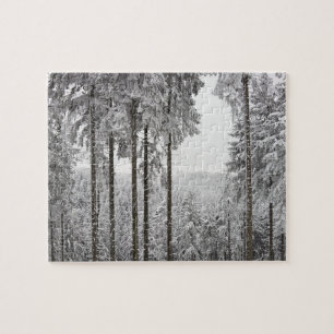 Vintergrön skog i vinter pussel
