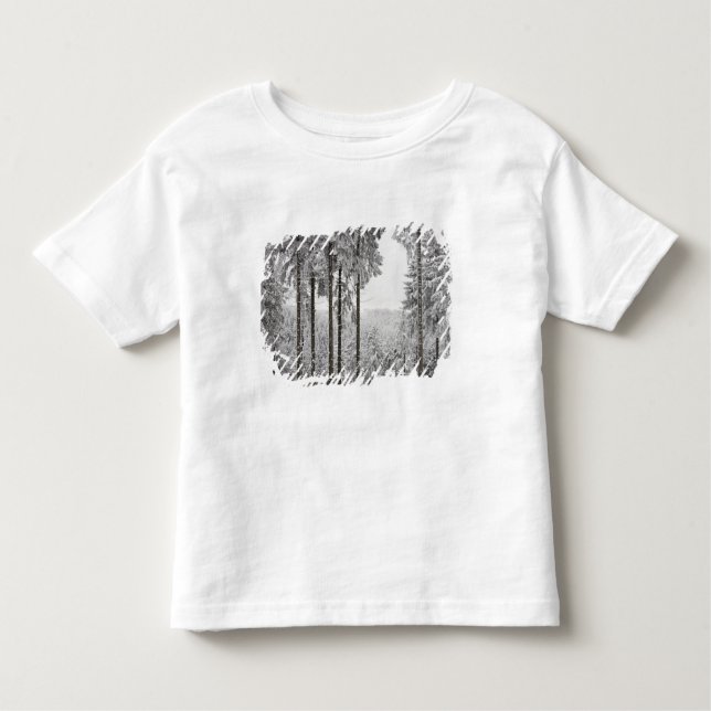 Vintergrön skog i vinter tee shirt (Framsida)