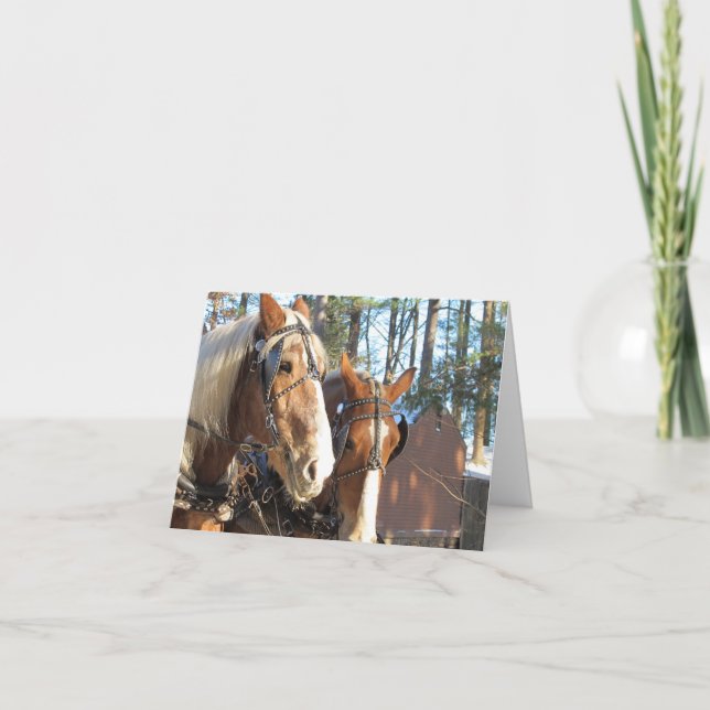 Vinterhästar i Sturbridge Notkort Blank Insida Tack Kort (Framsida)