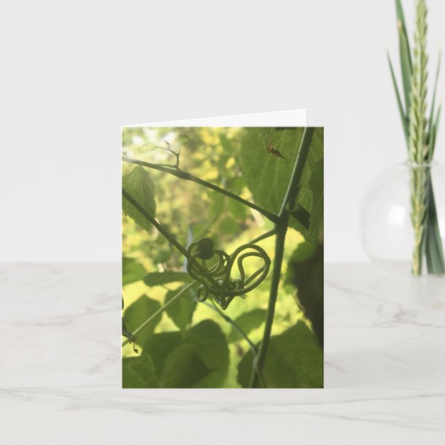 Vinterhjärtskydd Kort (Framsida)