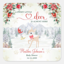 Vinterhjort Julsnöflinga Baby Shower 