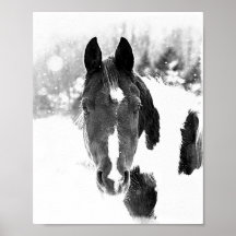 Vinterhorshästdjur - B&W Poster
