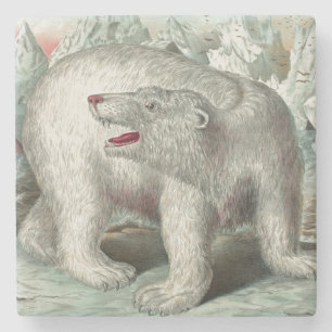 Vinterillustration av vintagens polar med isberg-i stenunderlägg