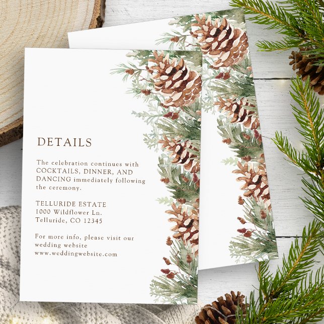 Vinterinformationskort Tilläggskort (White Winter Watercolor Evergreen Pinecones Details Enclosure Card by Painted Paperie)