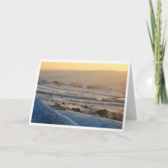 Vinterjullkort för får kort (Framsida)