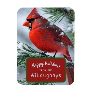 Vinterkardinal Bird Jul Holiday Greetings Magnet