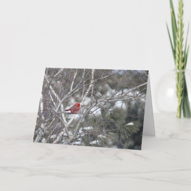 Vinterkardinal Helgkort (Framsida)