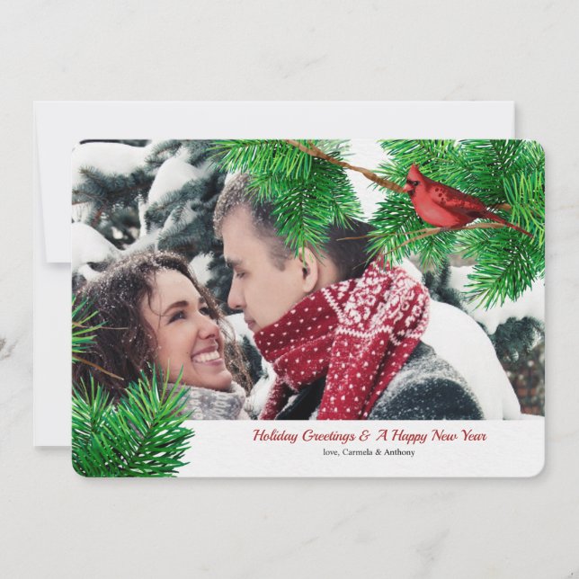 Vinterkardinaler - fotokort för Helgdag Julkort (Framsida)