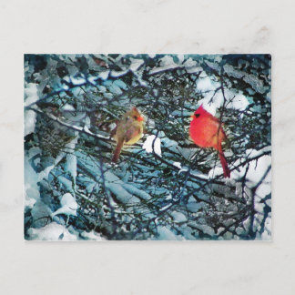 Vinterkärlek, vykort