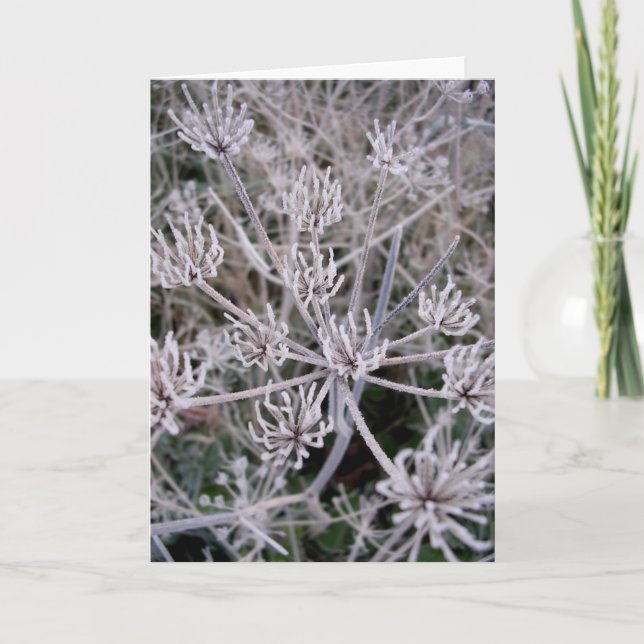 vinterklor kort (Framsida)