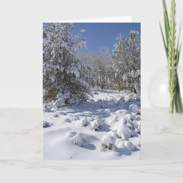 Vinterkort för snöig skog helgkort (Framsida)
