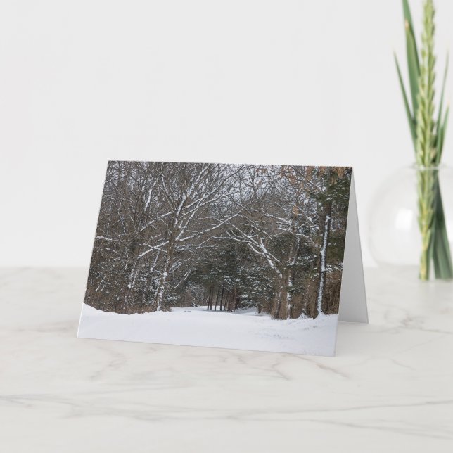 Vinterkort med snötäckt väg i en målerisk stil kort (Framsida)