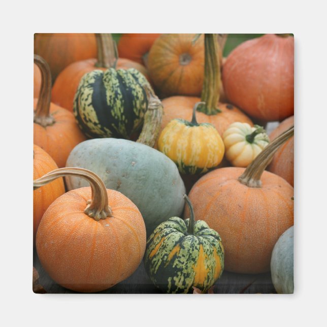 Vinterkvadratstreck Magnet (Framsidan)