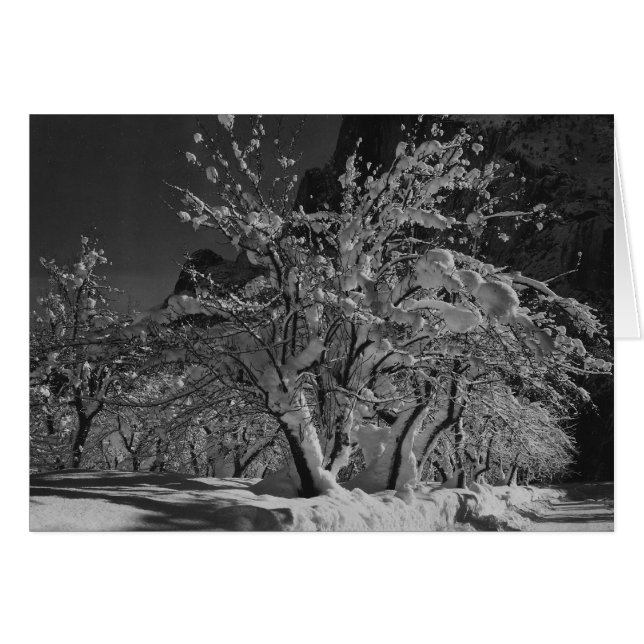 Vinterkvällstid Hälsningskort (Framsidan Horizontal)