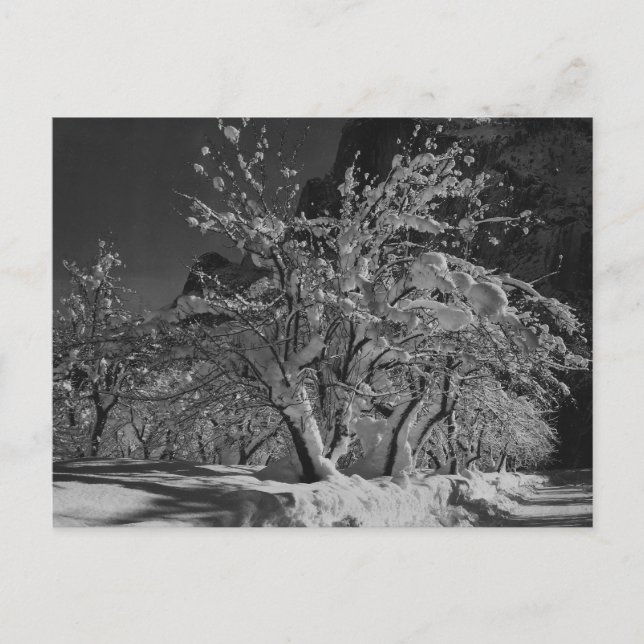 Vinterkvällstid Vykort (Framsida)