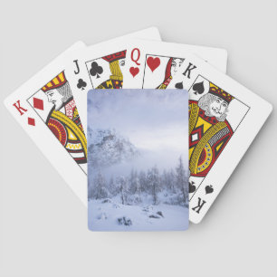 Vinterland, dimma, källskog och bergsområde casinokort