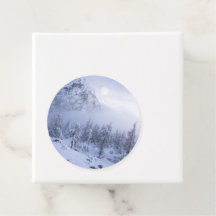 Vinterland, dimma, källskog och bergsområde