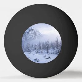 Vinterland, dimma, källskog och bergsområde pingisboll