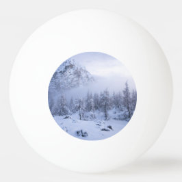 Vinterland, dimma, källskog och bergsområde pingisboll