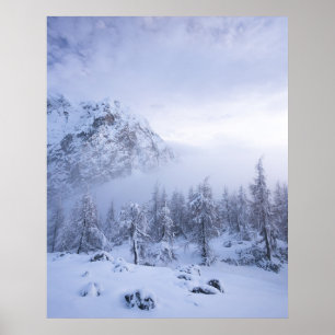 Vinterland, dimma, källskog och bergsområde poster