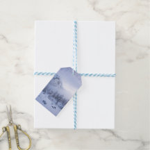 Vinterland, dimma, källskog och bergsområde