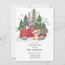 Vinterland Lastbil och Baby Rudolph Födelsedagsfes