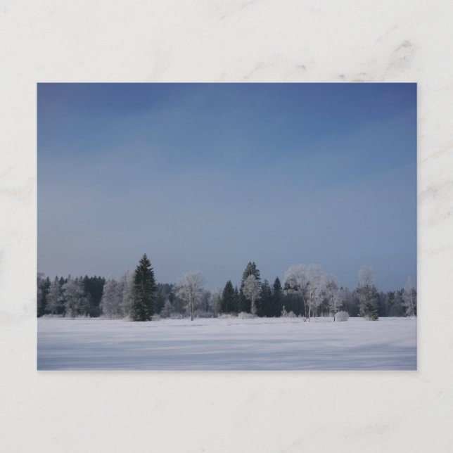 Vinterlandskap 12 i snö kall vykort (Framsida)