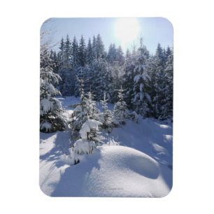Vinterlandskap 2 i snö kall magnet