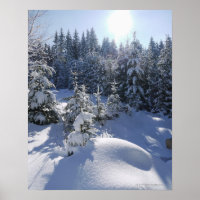 Vinterlandskap 2 i snö kall