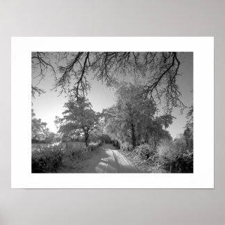 Vinterlandskap: Cheshire Poster