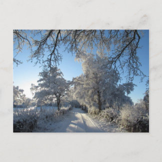 Vinterlandskap: Cheshire Vykort