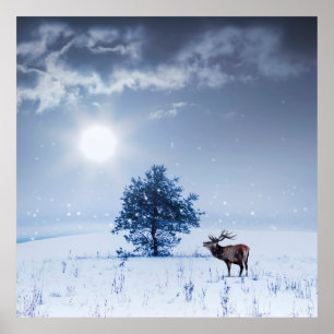 Vinterlandskap i blå färg. Lonely träd och wi Poster
