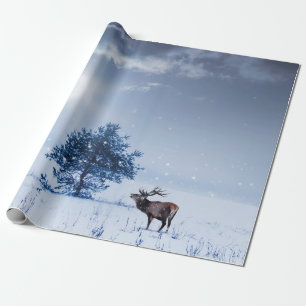 Vinterlandskap i blå färg. Lonely träd och wi Presentpapper
