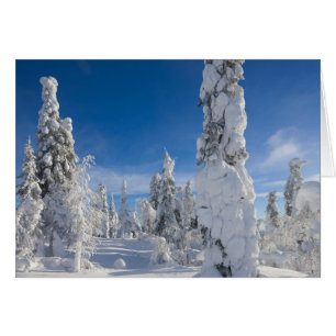 Vinterlandskap i Lappland Hälsningskort